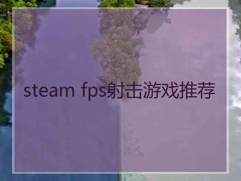 steam fps射击游戏推荐