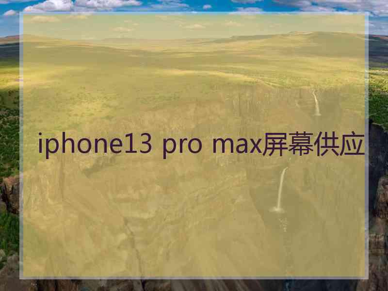 iphone13 pro max屏幕供应