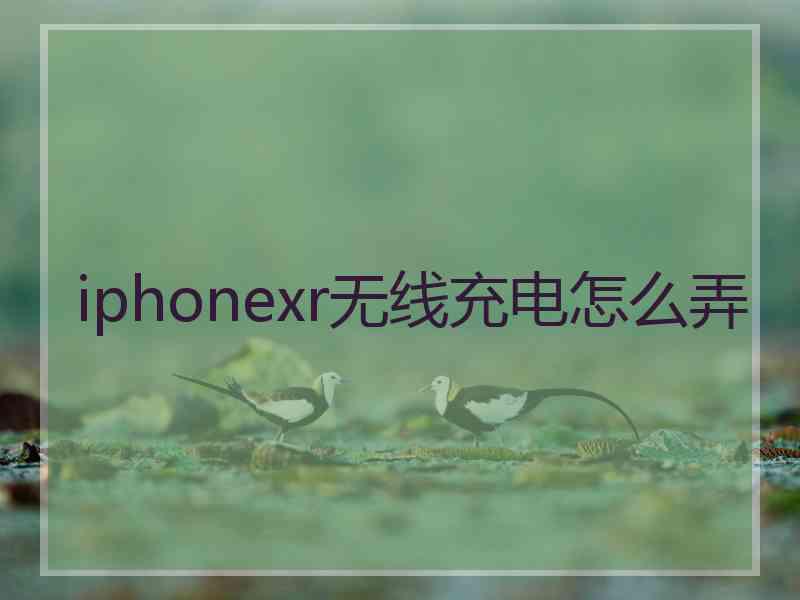 iphonexr无线充电怎么弄