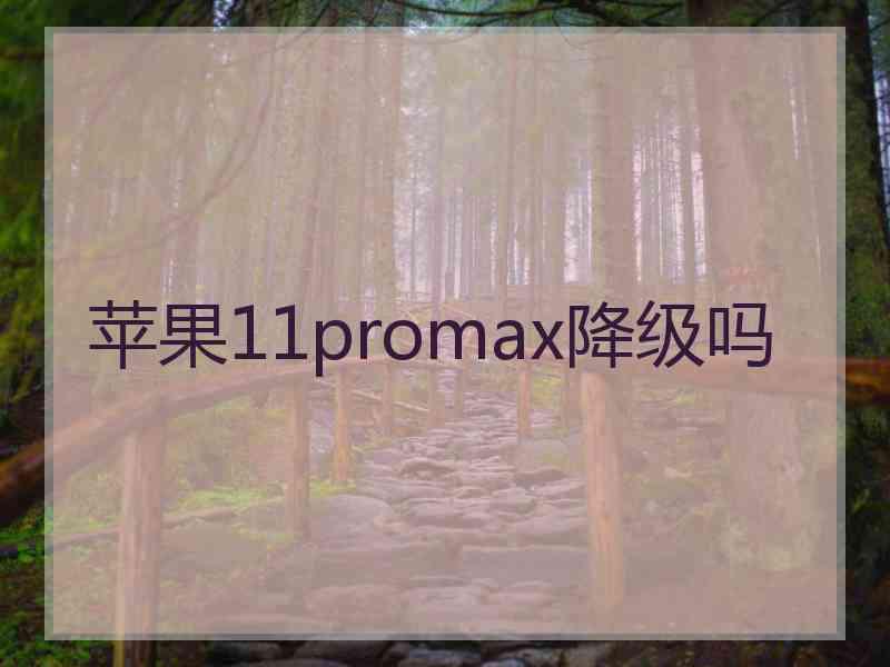 苹果11promax降级吗