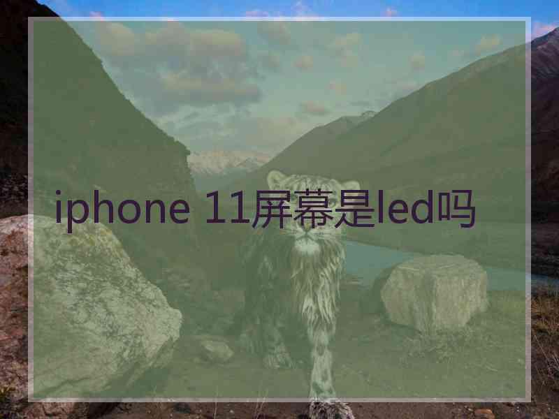 iphone 11屏幕是led吗