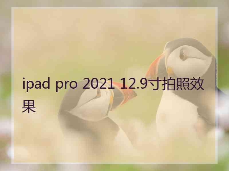 ipad pro 2021 12.9寸拍照效果