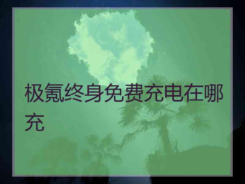 极氪终身免费充电在哪充