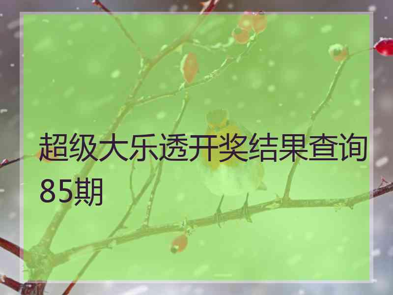 超级大乐透开奖结果查询85期