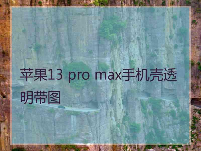 苹果13 pro max手机壳透明带图