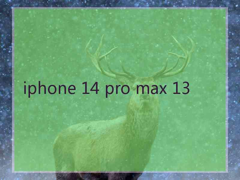 iphone 14 pro max 13