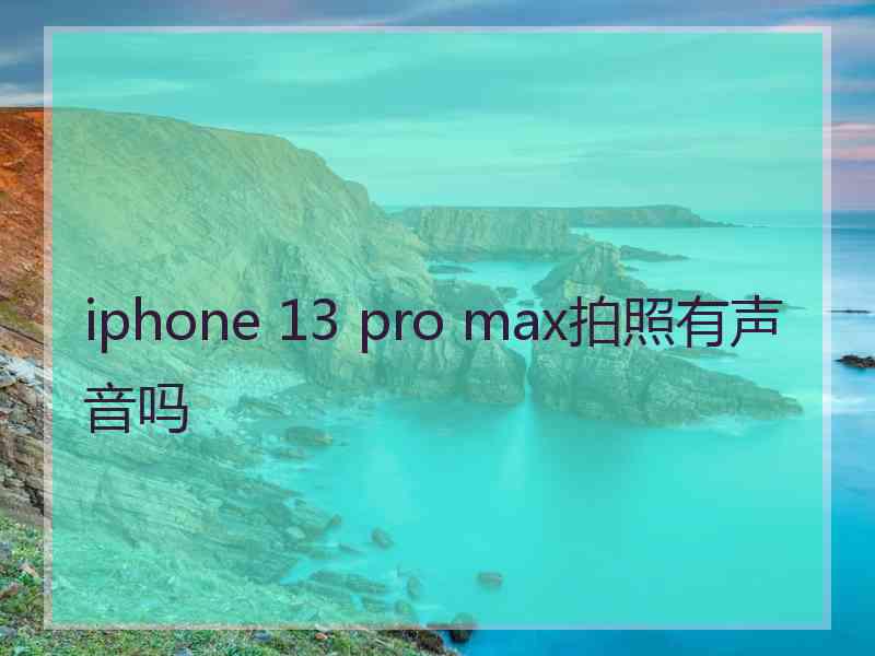 iphone 13 pro max拍照有声音吗