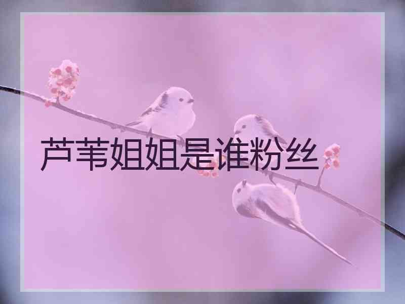 芦苇姐姐是谁粉丝