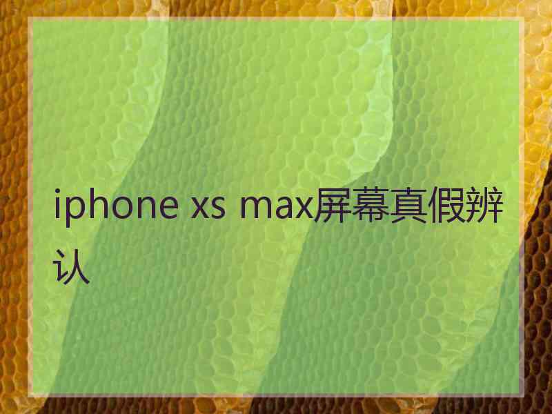 iphone xs max屏幕真假辨认