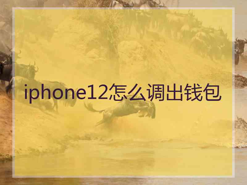 iphone12怎么调出钱包