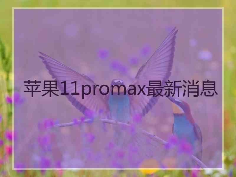 苹果11promax最新消息