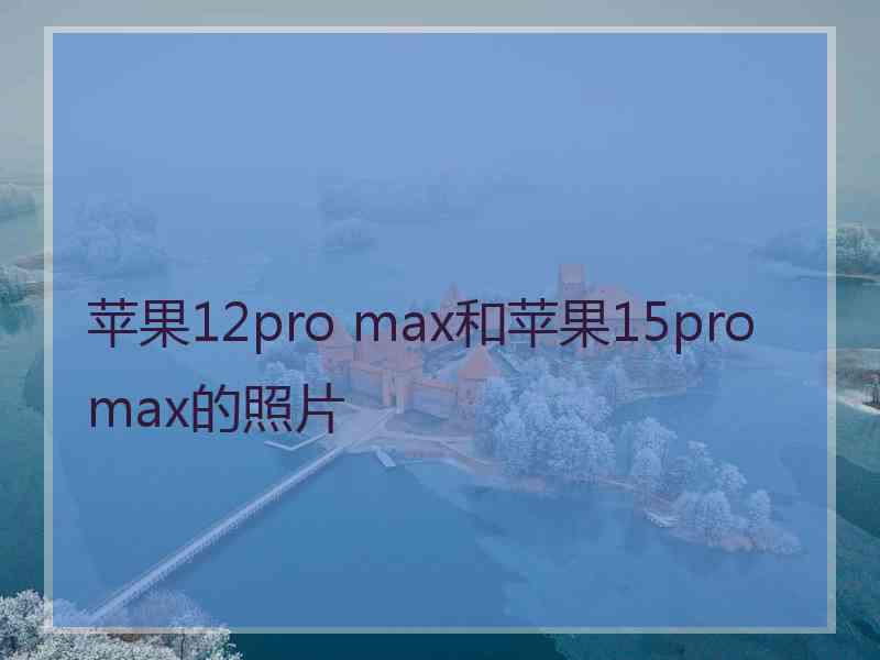 苹果12pro max和苹果15promax的照片