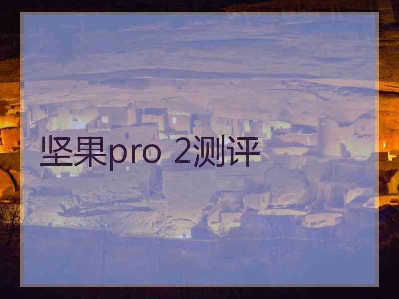 坚果pro 2测评