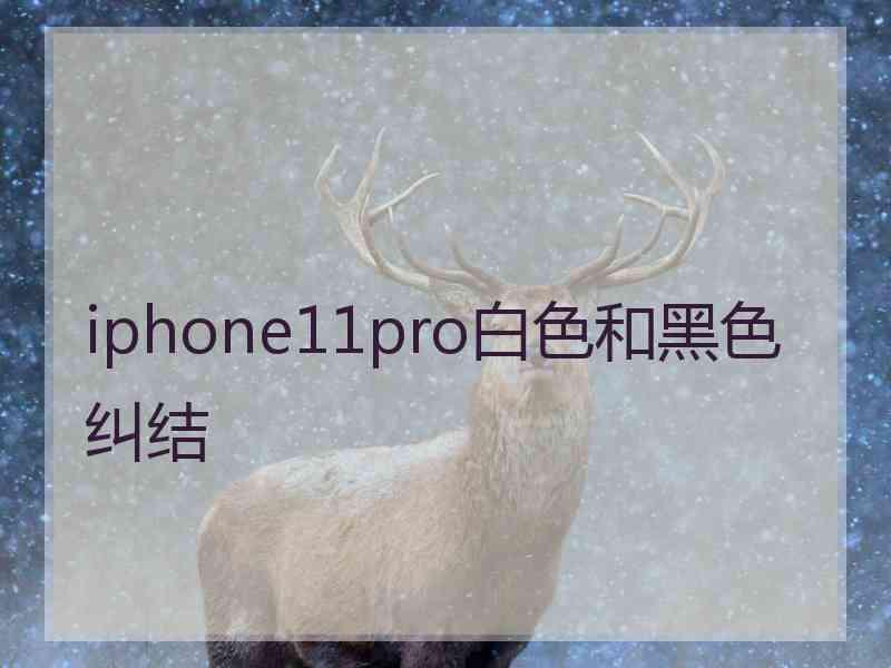 iphone11pro白色和黑色纠结