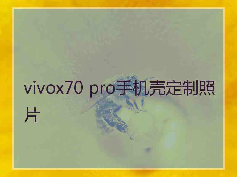 vivox70 pro手机壳定制照片