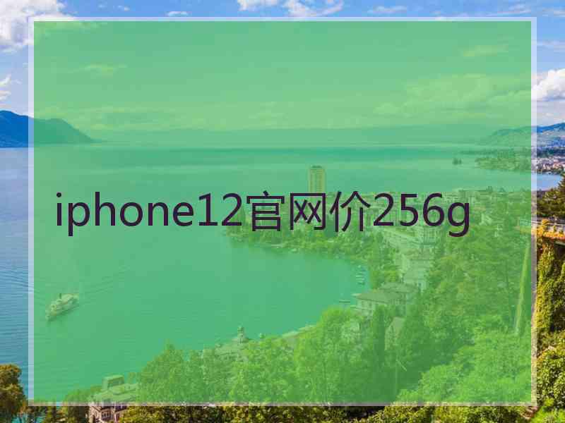 iphone12官网价256g