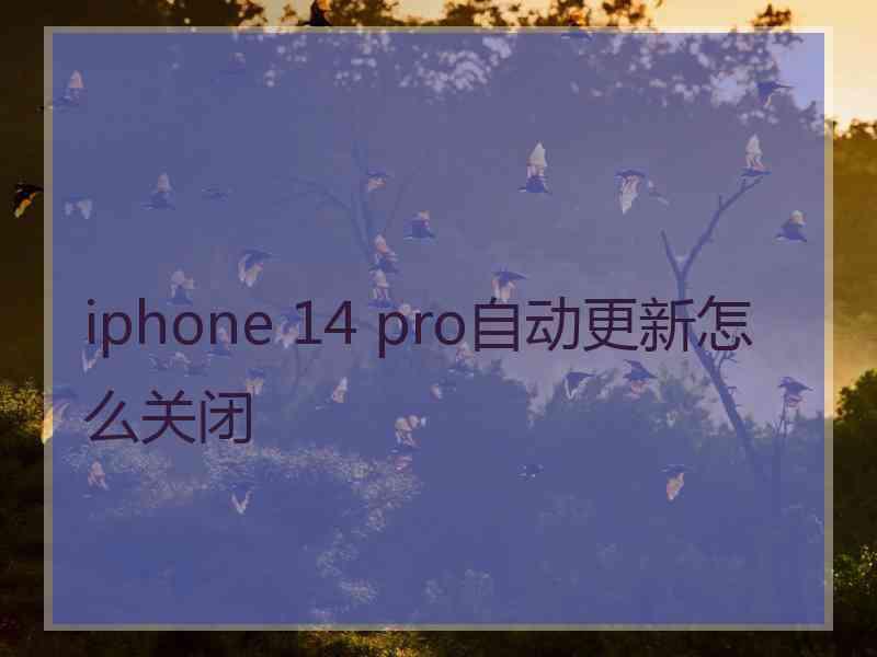 iphone 14 pro自动更新怎么关闭