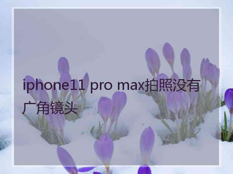 iphone11 pro max拍照没有广角镜头