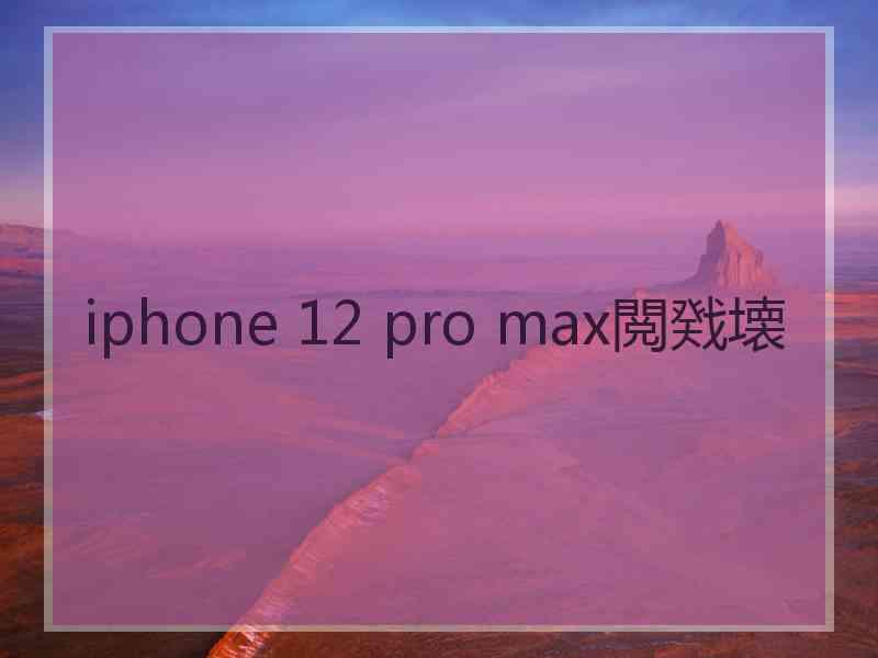 iphone 12 pro max閲戣壊