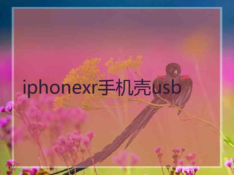 iphonexr手机壳usb