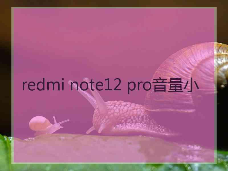 redmi note12 pro音量小