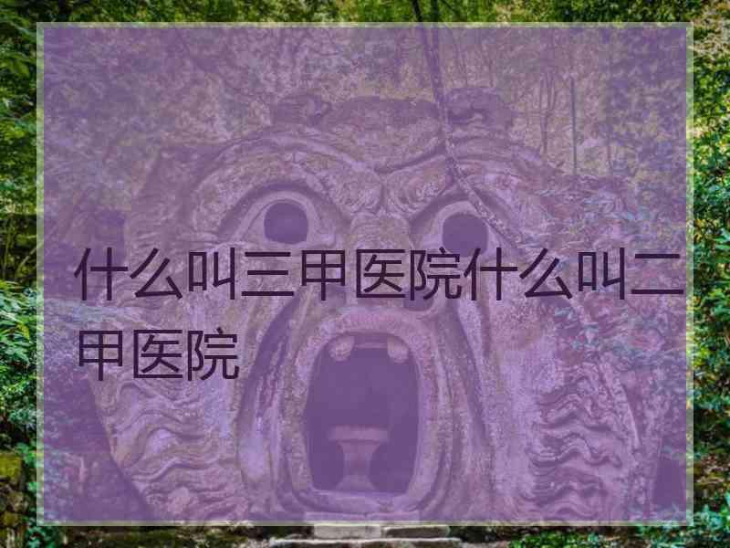 什么叫三甲医院什么叫二甲医院