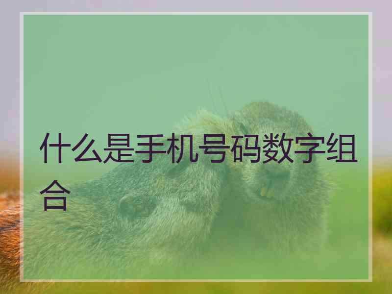 什么是手机号码数字组合