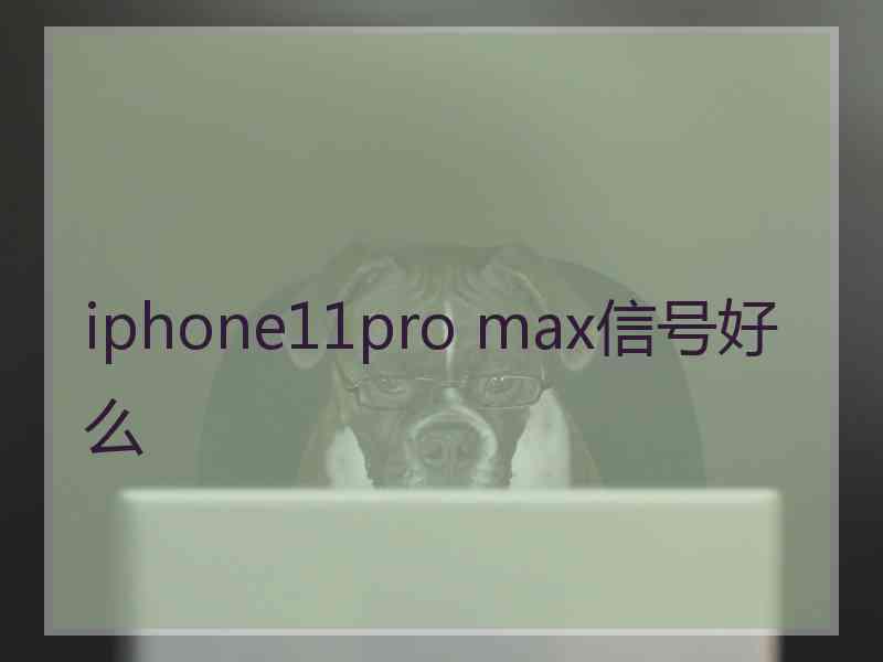 iphone11pro max信号好么