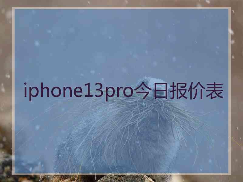 iphone13pro今日报价表