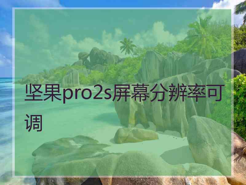 坚果pro2s屏幕分辨率可调