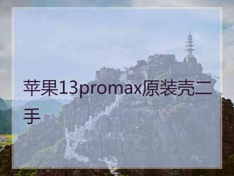 苹果13promax原装壳二手