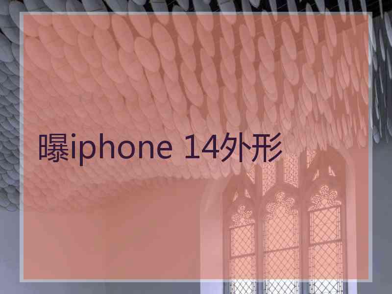 曝iphone 14外形