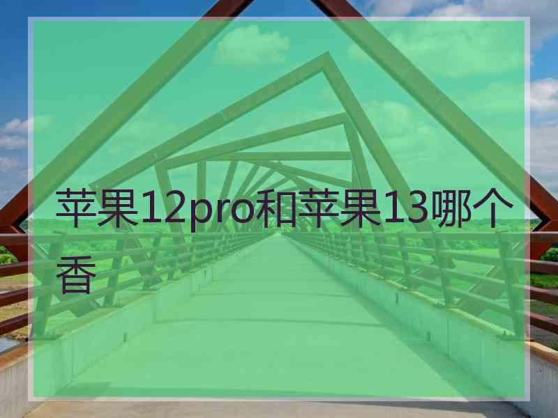 苹果12pro和苹果13哪个香