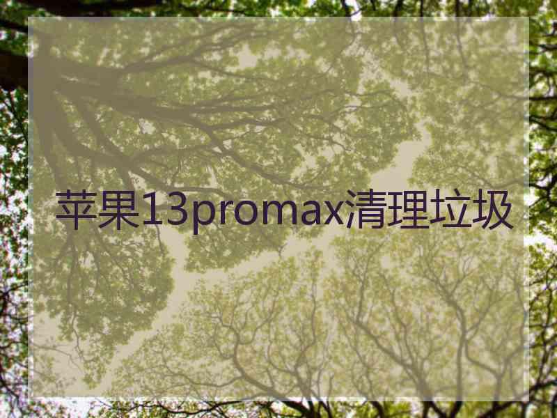 苹果13promax清理垃圾