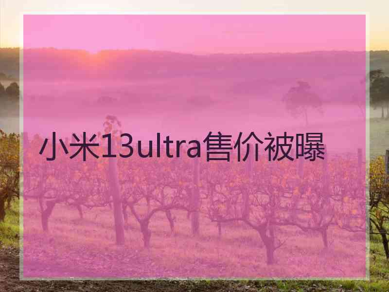 小米13ultra售价被曝