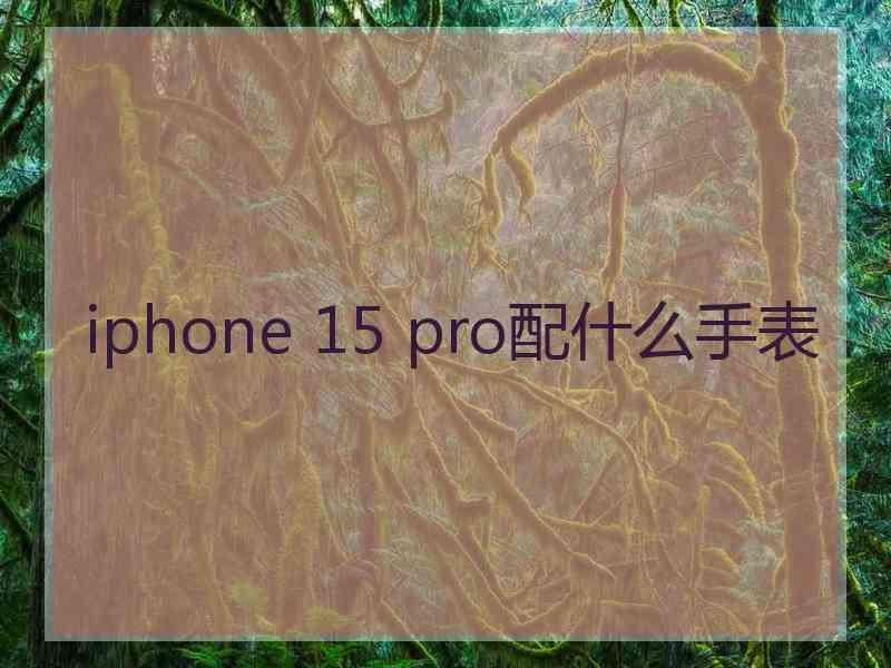 iphone 15 pro配什么手表