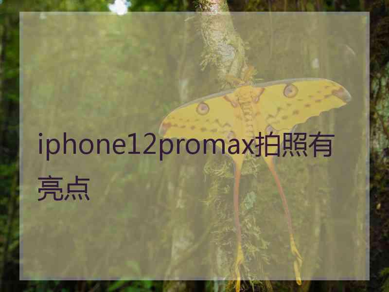 iphone12promax拍照有亮点