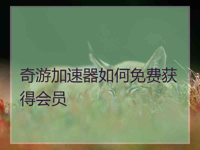 奇游加速器如何免费获得会员