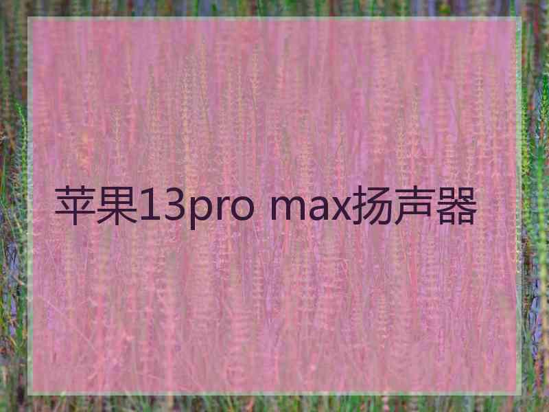 苹果13pro max扬声器