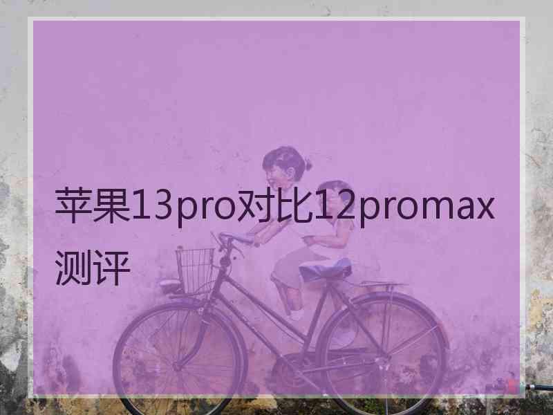 苹果13pro对比12promax测评