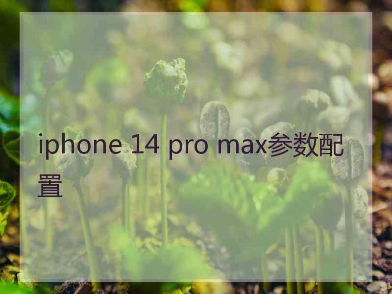 iphone 14 pro max参数配置