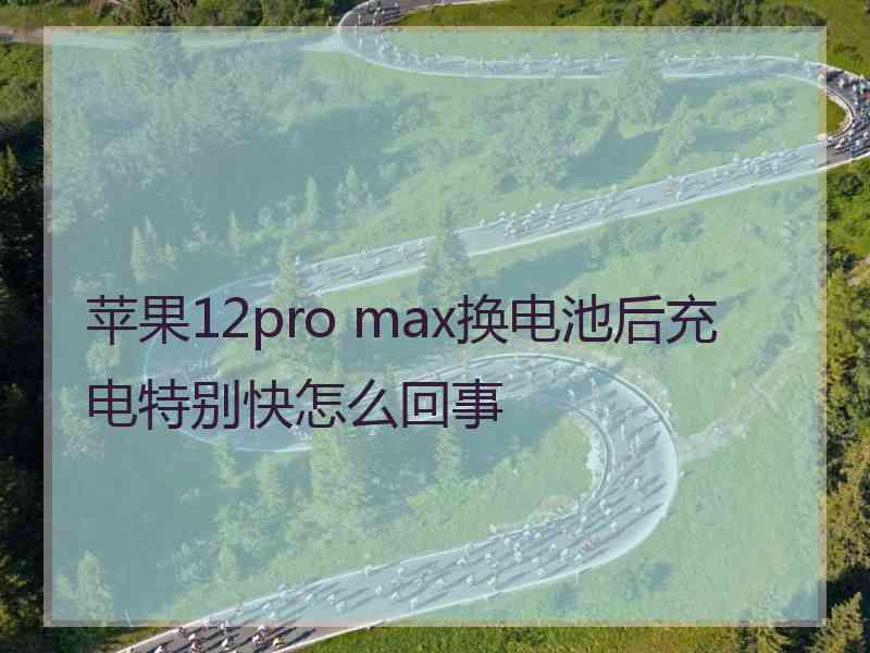 苹果12pro max换电池后充电特别快怎么回事