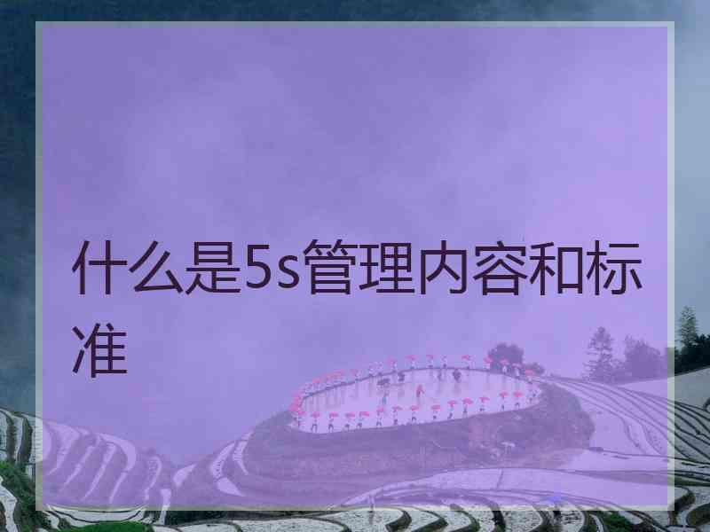 什么是5s管理内容和标准