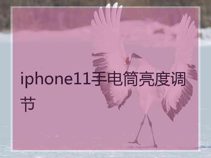 iphone11手电筒亮度调节