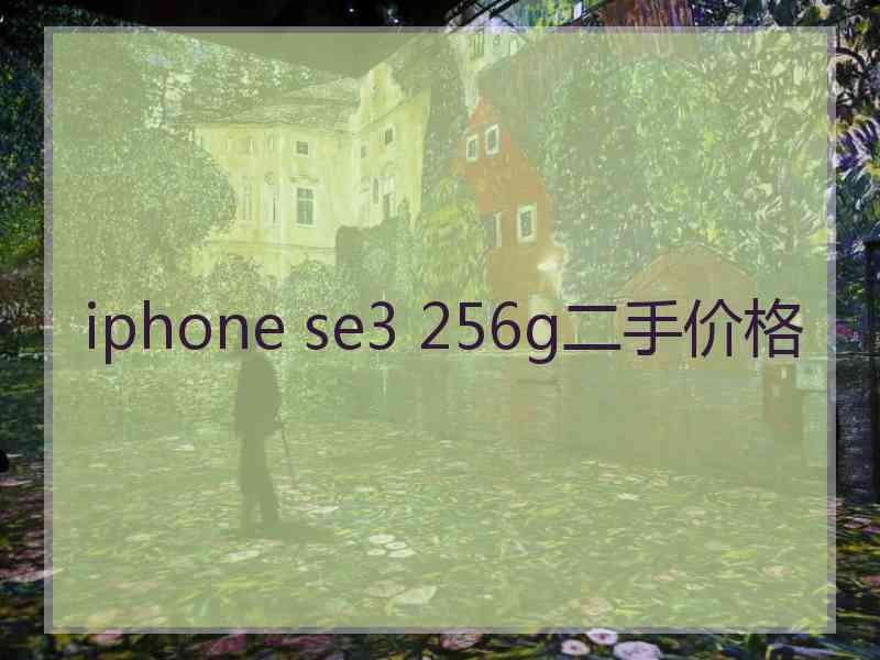 iphone se3 256g二手价格