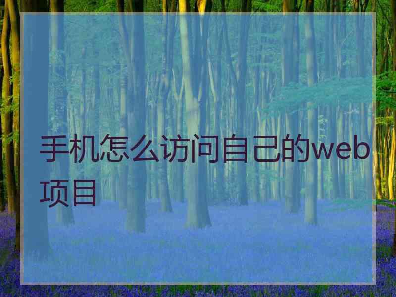 手机怎么访问自己的web项目