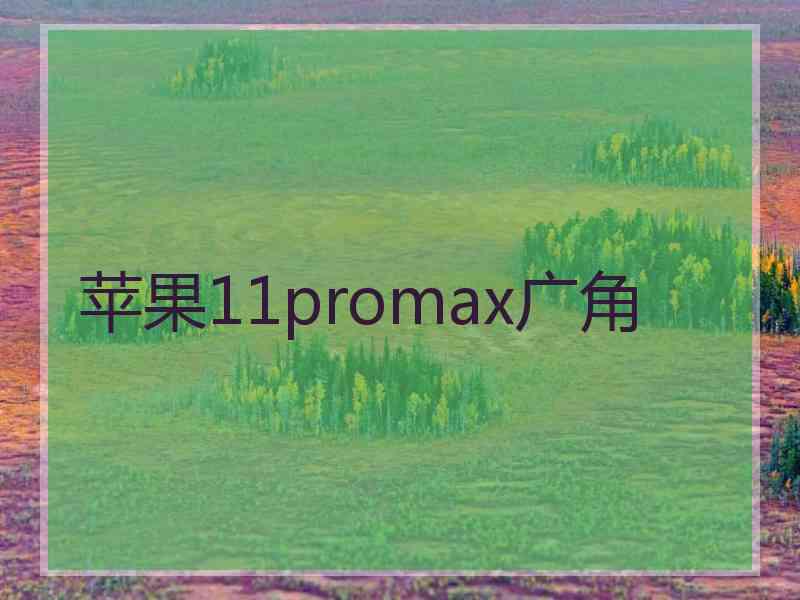 苹果11promax广角