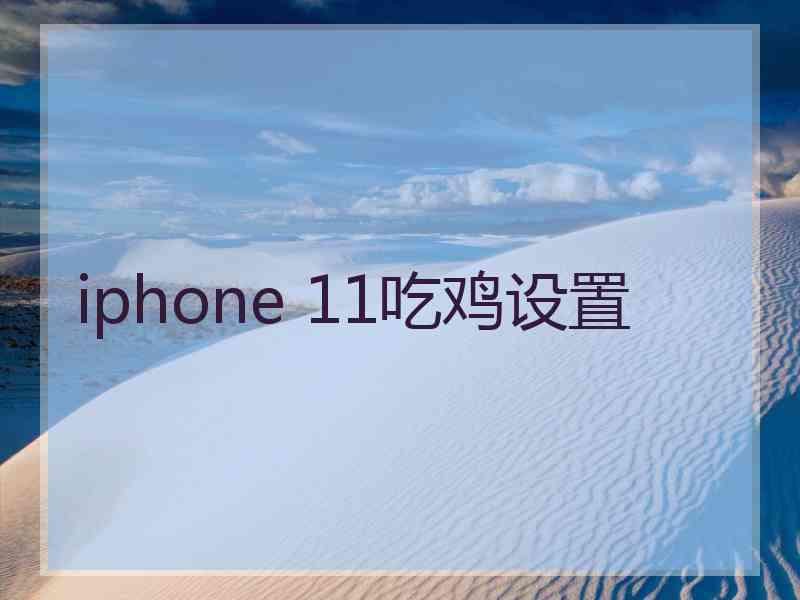 iphone 11吃鸡设置