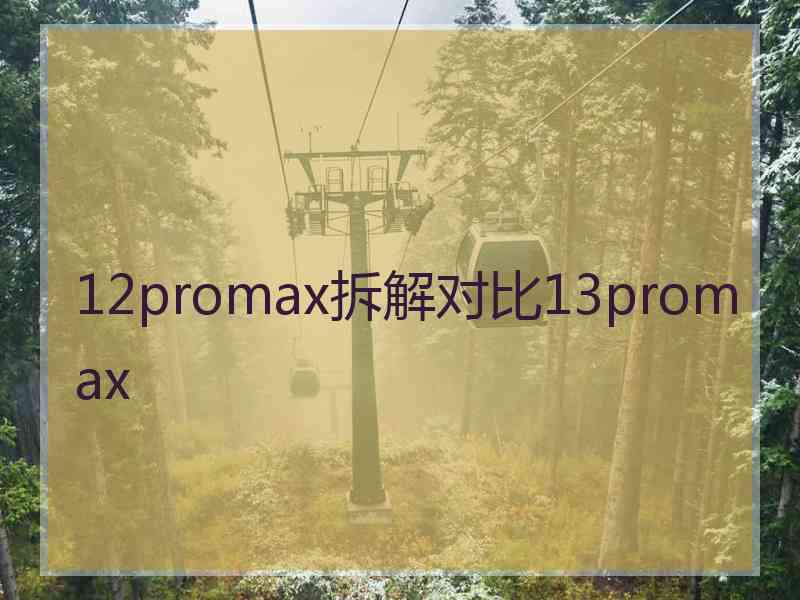 12promax拆解对比13promax