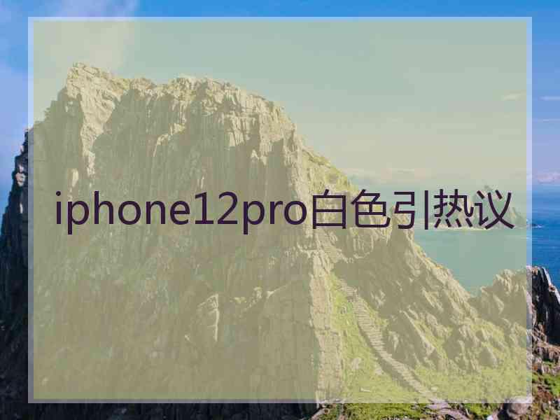 iphone12pro白色引热议